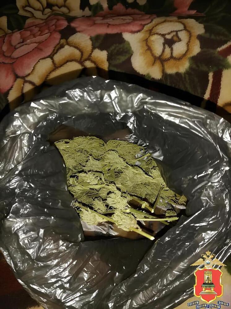 В Тверской области поймали продавца и покупателя «дурман-травы»