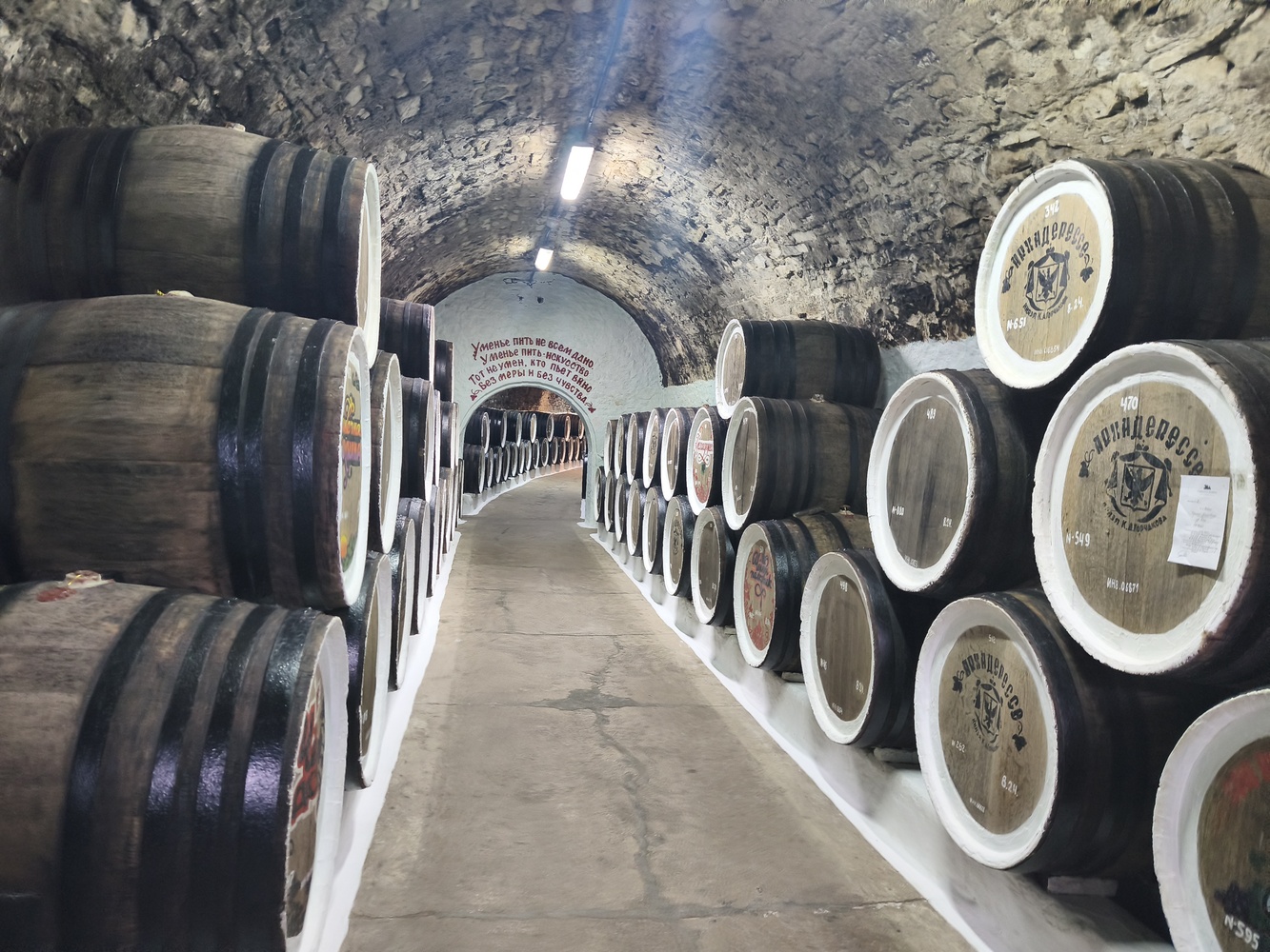 Вино, мидии и устрицы: в Крыму появился новый гастромаршрут 