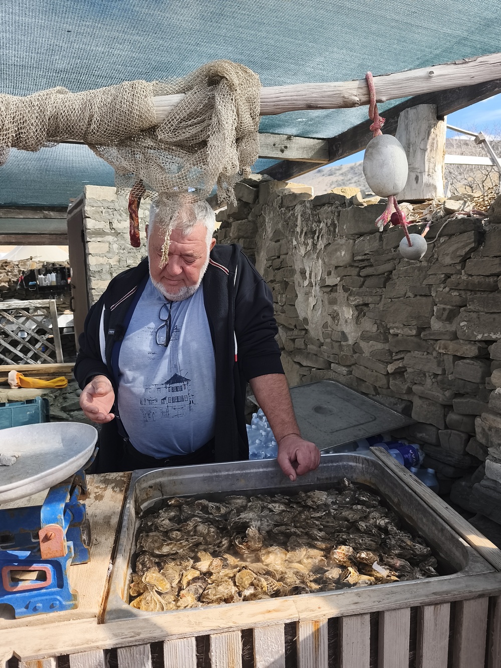 Вино, мидии и устрицы: в Крыму появился новый гастромаршрут 