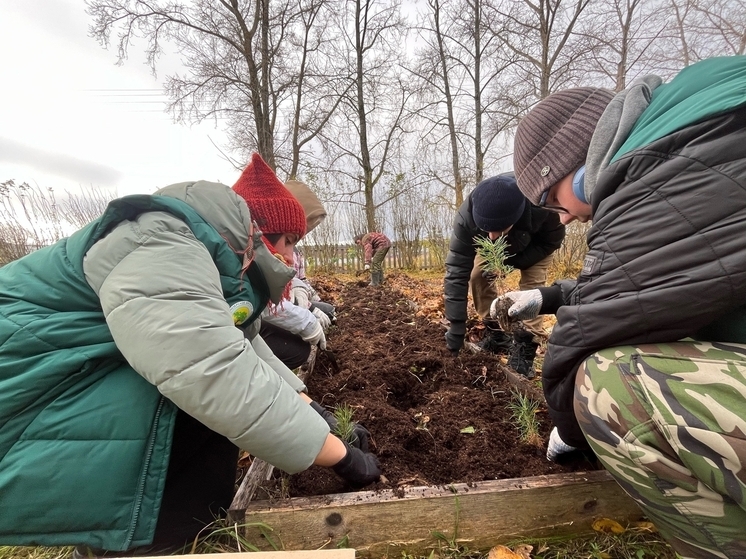  Школьное лесничество «Родничок» откроет «Лесную лабораторию» в Кенозерье