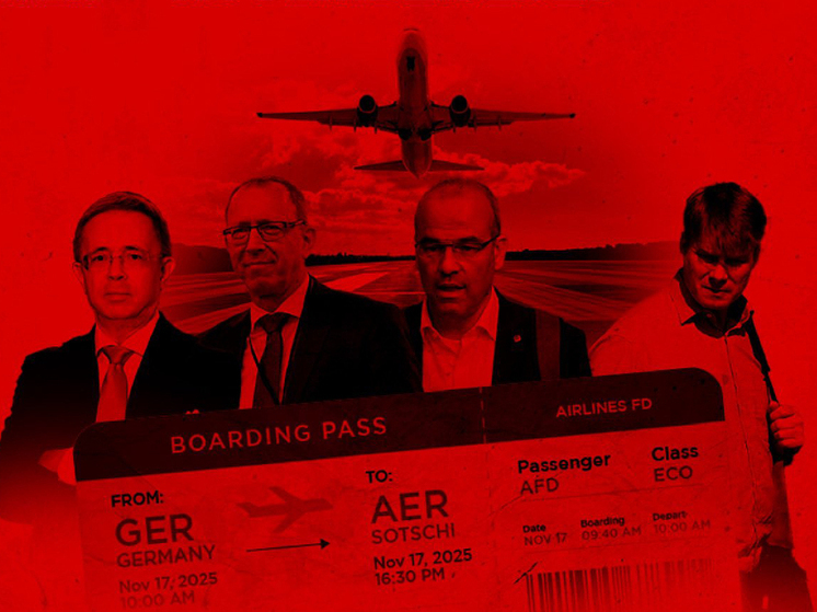 Германия — На чьей орбите вращается AfD?