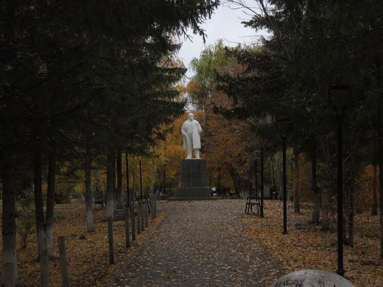 Рослесхоз проверил лесное хозяйство Самарской области за 2025 год