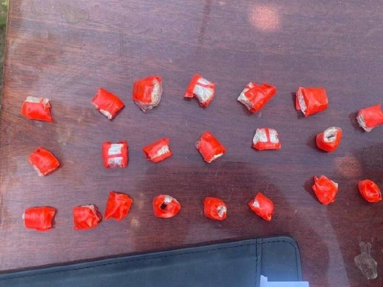 В Астраханской области двоих иностранцев обвиняют в попытке сбыта наркотиков