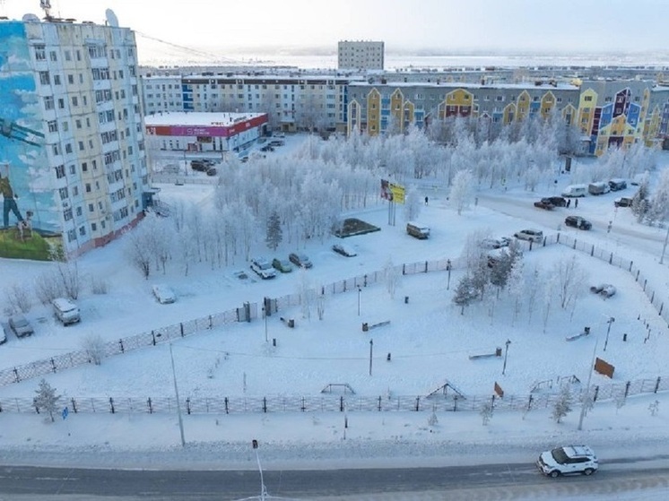 В Надыме достроили долгожданную площадку для выгула собак