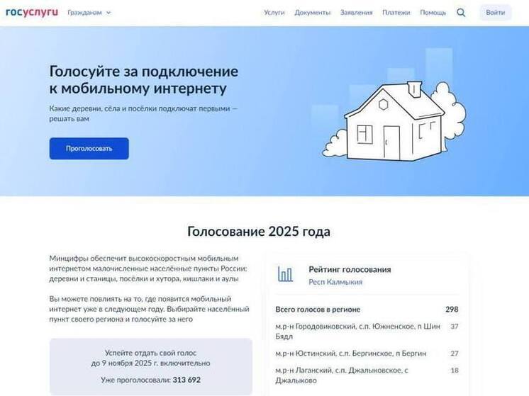 Почти 300 жителей Калмыкии проголосовали за устранение цифрового неравенства