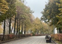 Какой сегодня день по народному календарю

11 ноября православная церковь вспоминает святую Анастасию Римляныню, мученицу, жившую в III веке