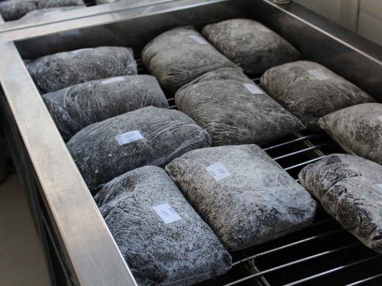 Осетровая икра из Вологодской области отправилась в Гонконг и Катар