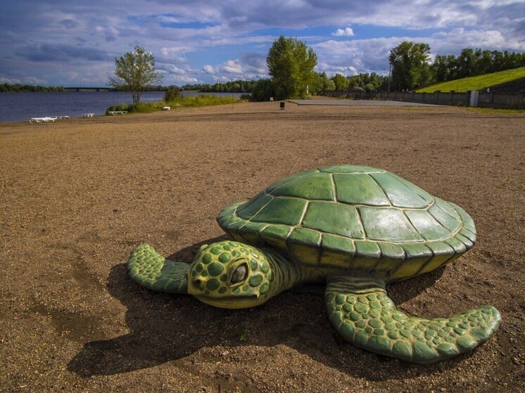 Приметы на Дмитриев день: что нельзя делать 8 ноября 2025 года