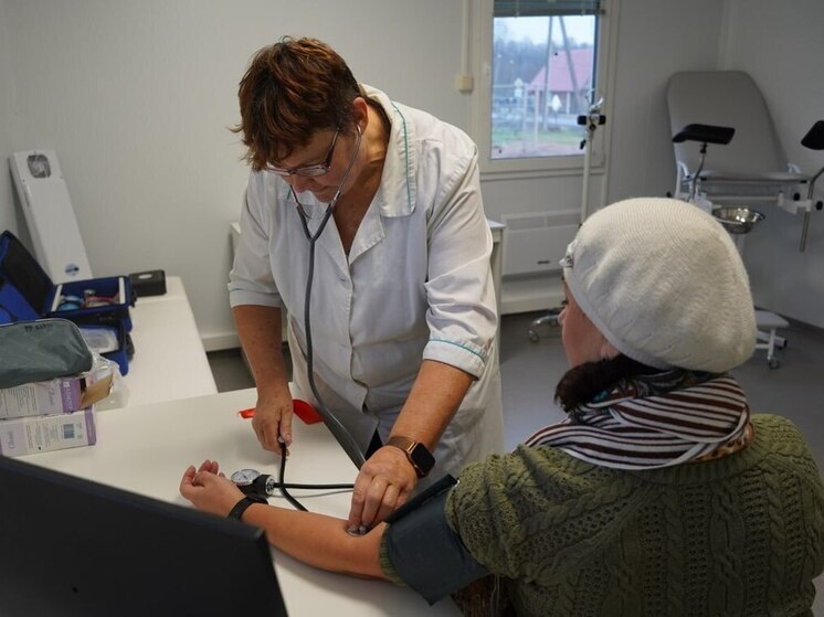 В деревне Селеево Поддорского округа открыли новый ФАП