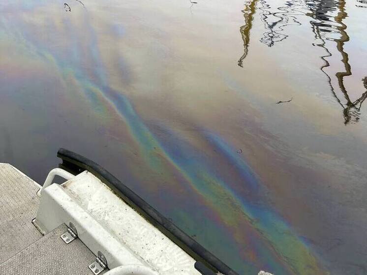 Пугающие узоры из нефтепродуктов заметили в Фонтанке