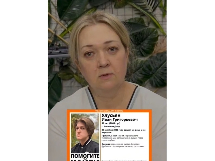 Ростовчанка обратилась к своему пропавшему без вести 16-летнему сыну