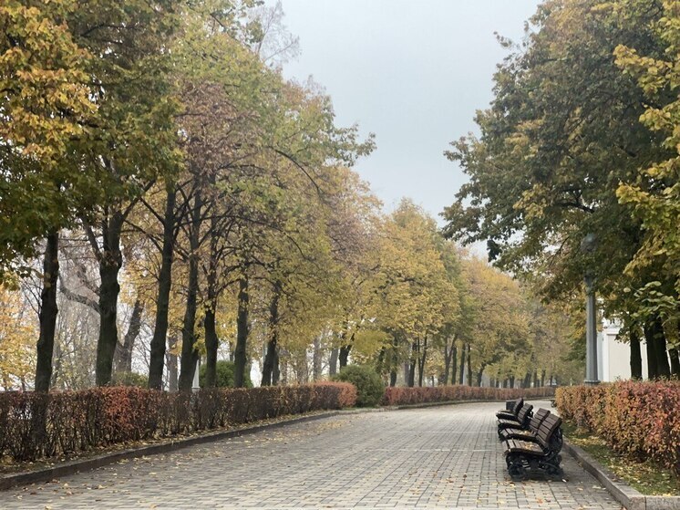 Какой сегодня день по народному календарю

11 ноября православная церковь вспоминает святую Анастасию Римляныню, мученицу, жившую в III веке