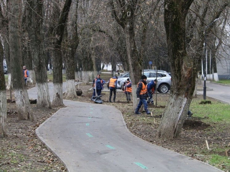 На проспекте Ленина высадят 23 липы в рамках благоустройства