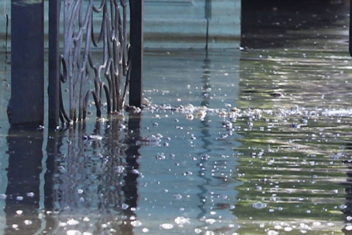 В Калифорнийском заливе произошло землетрясение