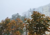 Какой сегодня день по народному календарю

15 ноября в народе отмечали День Житницы — праздник, посвящённый урожаю и запасам на зиму