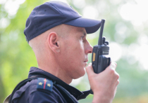 10 ноября — это понедельник, 314-й день года, до конца года осталось 51 день.