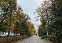 Какой сегодня день по народному календарю

16 ноября в народе отмечают День Анны Холодной