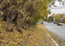 Какой сегодня день по народному календарю

14 ноября православная церковь чтит память святых Кузьмы и Демьяна, бессребреников, живших в III веке