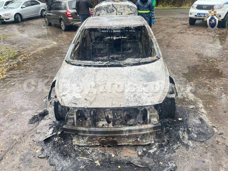 Выяснились новые подробности жестокого убийства в Подмосковье, где мужчина убил ухажера своей племянницы, а потом вместе с ней сжег тело в салоне автомобиля