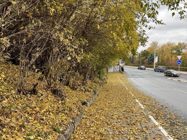 Какой сегодня день по народному календарю

14 ноября православная церковь чтит память святых Кузьмы и Демьяна, бессребреников, живших в III веке