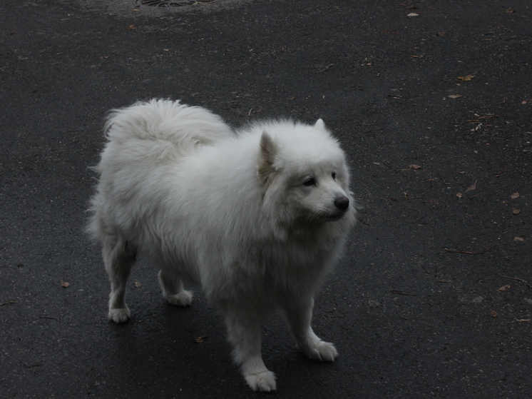 Узнайте, какой сегодня праздник 10 ноября 2025 года в России. Читайте о Дне сотрудника органов внутренних дел, Всемирном дне молодежи и памяти великомученицы Параскевы Пятницы.