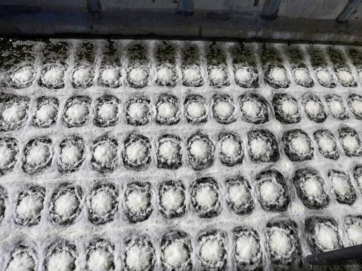 На Нижегородской станции аэрации начались пусконаладочные работы