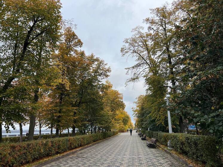 Какой сегодня день по народному календарю

16 ноября в народе отмечают День Анны Холодной