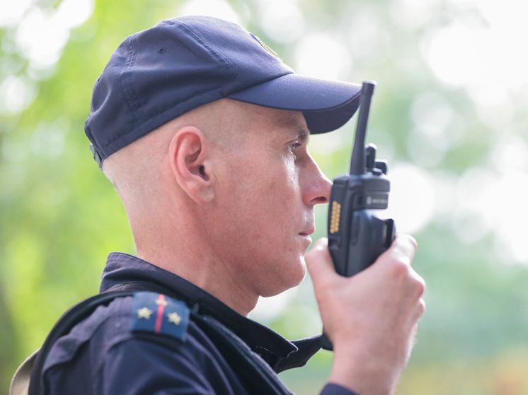 10 ноября отмечают День сотрудника МВД и День бухгалтера