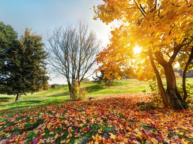14 градусов тепла прогнозируют в Херсонской области 8 ноября