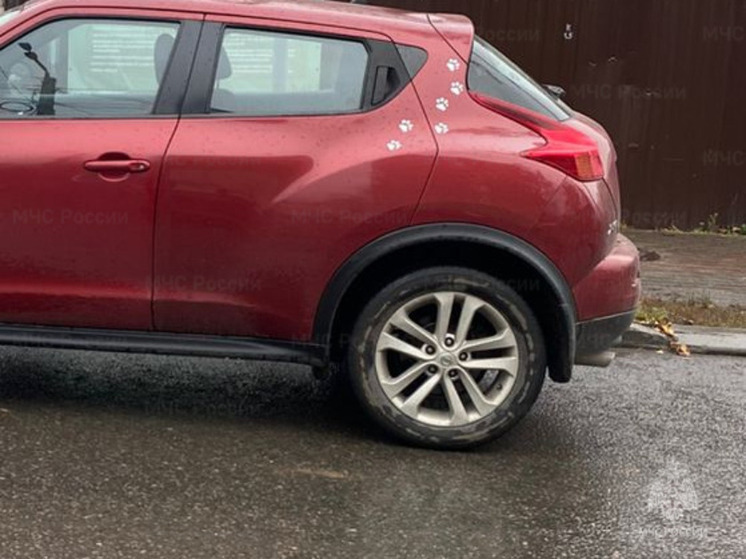 Пенсионерка сбила подростка в центре Калуги