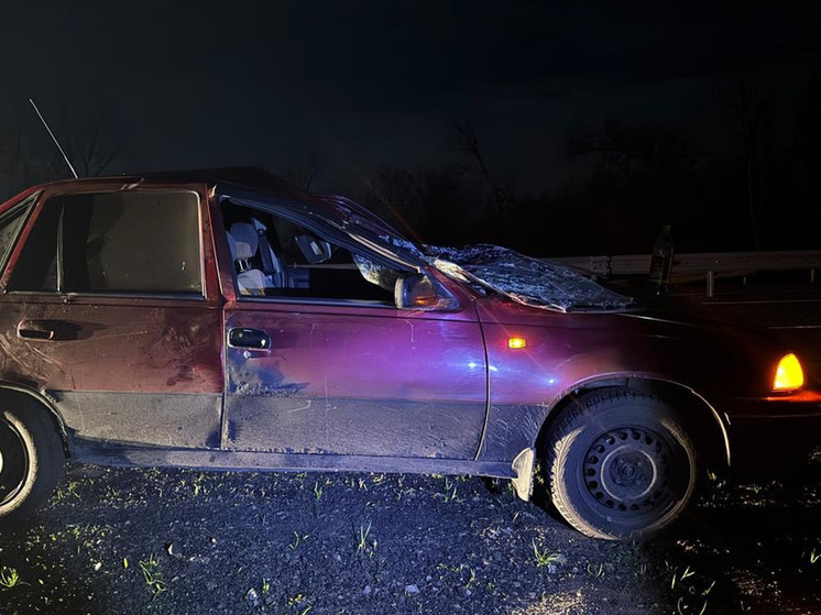 На трассе под Орлом автомобиль сбил лося