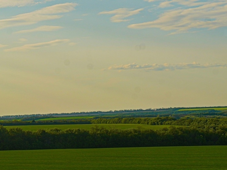 Под строительство глэмпингов и музеев в Тульской области выделили 530 га