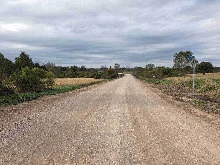 Завершен ремонт участка дороги Быстроникольское – Черская в Псковской области стоимостью в 93 миллиона рублей