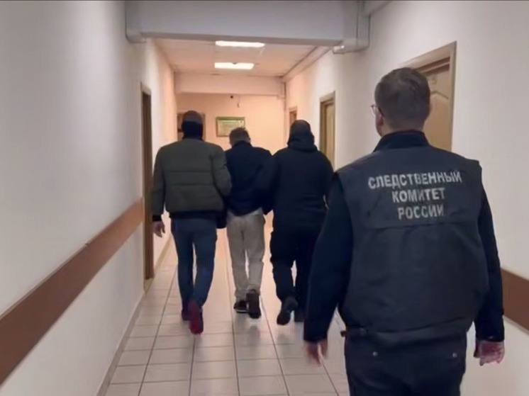 Тела петербургского криптоинвестора Новака и его жены закопали в пустыне