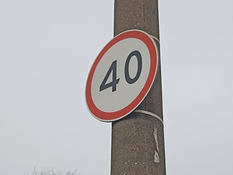 Движение на семи федеральных трассах Ленобласти будет ограничено 8 ноября