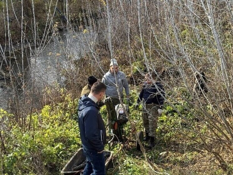 Возрождение Студенца: в Тамбове расчистят русло реки от мусора и зарослей