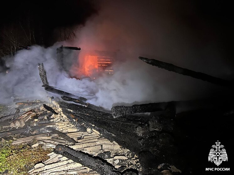 В Ярославской области из-за пожара без дома и имущества осталась многодетная мама-волонтер