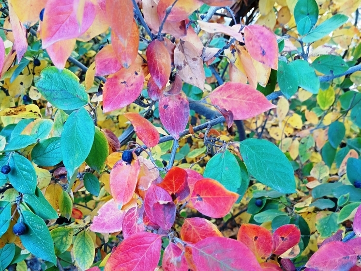 Сила магнитной бури 8 ноября составит 5 баллов: не рекомендуется начинать масштабные дела