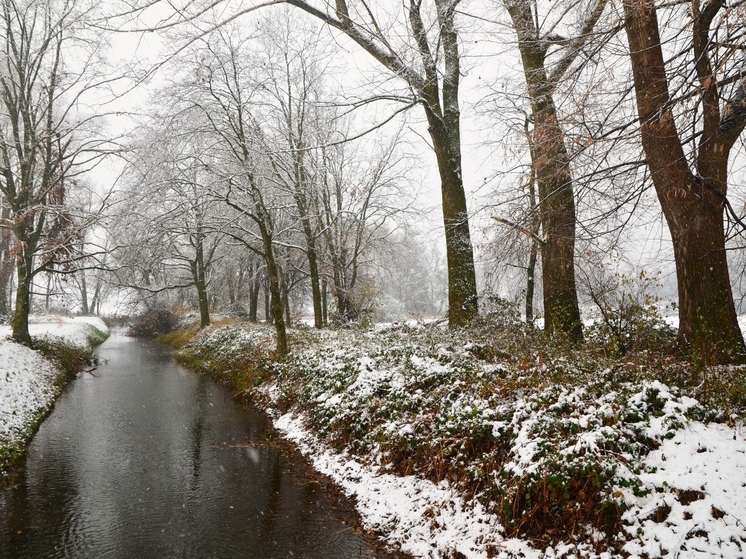 В Красноярске ожидается мокрый снег и гололедица на дорогах 8 ноября