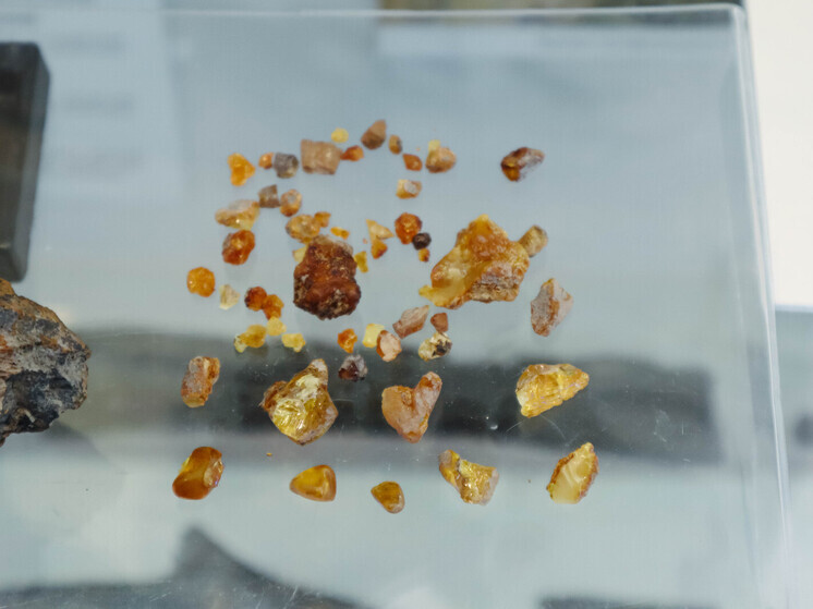 В Кузбассе найден янтарь возрастом больше 100 миллионов лет