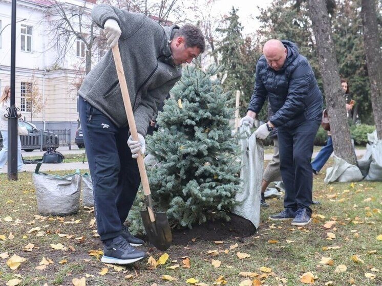 Мэр Воронежа помог «зеленым легким» города