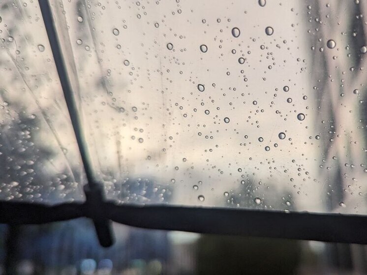 Ленинградцев 8 ноября ожидают небольшие дожди и до +9 градусов