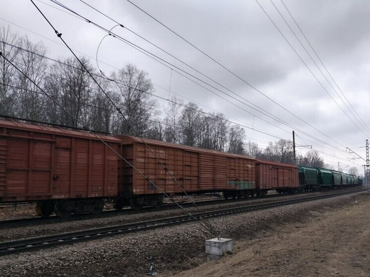 В Ленобласти автомобиль столкнулся с поездом