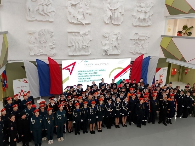 В Ленобласти стартовал проект «Код кадета», объединивший юных патриотов