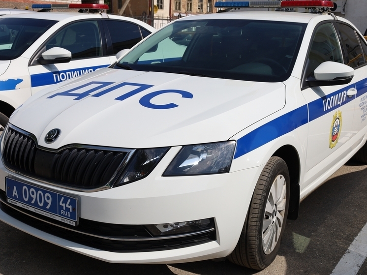 Для костромичей открыли чат-бот для сообщений об опасных водителях