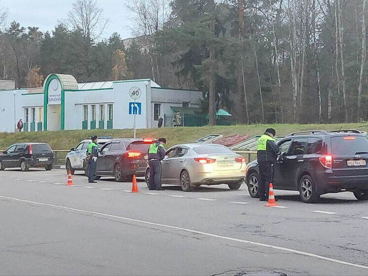 Массовые проверки водителей на трезвость продолжатся в ноябре