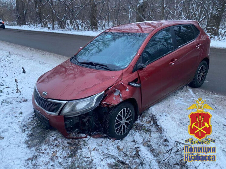 В Кемерове погибла девятилетняя девочка, перебегавшая дорогу вне пешеходного перехода