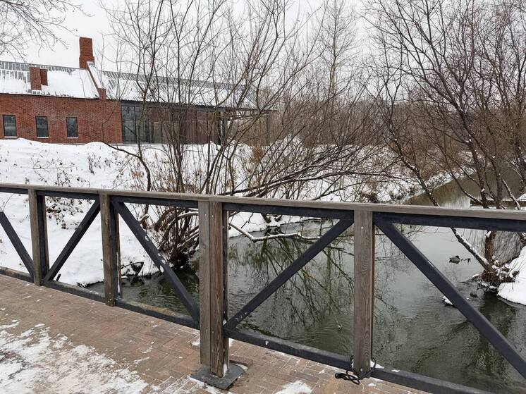 Мэр Новосибирска показал, как сейчас выглядит строящийся парк «Каменка»