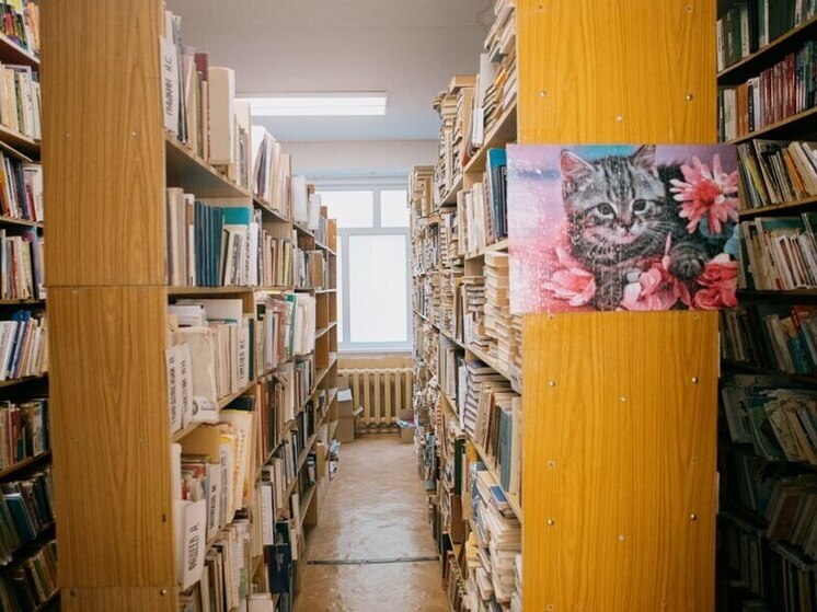 Глава Пензы поздравил библиотеку имени Белинского со 130-летием