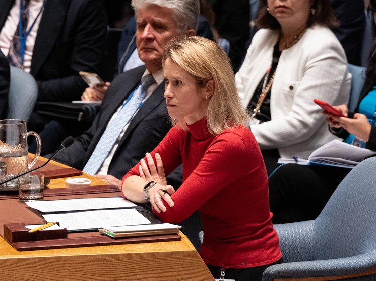 Каллас пыталась вернуть в Брюссель опасного врага фон дер Ляйен